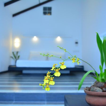 Midigama Holiday Inn Екстер'єр фото